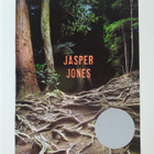 Craig Silvey : Jasper Jones - pikkukuva 1