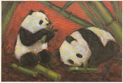 Postikortti, Eläinaihe, eläimet , panda