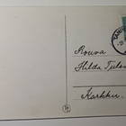 Kukko, kuoriutuvia tipuja, soikiomaisema, kukkia, p. 1956 - pikkukuva 2