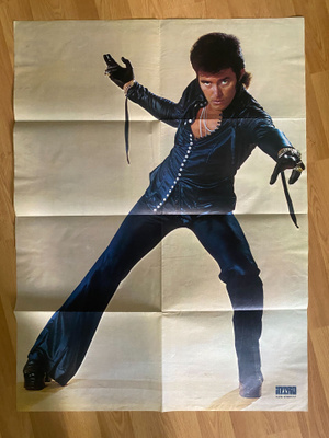 Alvin Stardust juliste