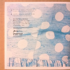 Sweet Jeena And Her Sweethearts - Rock ´N´Roll Picnic CDS - pikkukuva 2