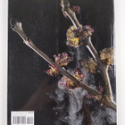 Adrian Davies : Digital plant photography - pikkukuva 2