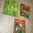 PERENAT, HEDELMÄPUUT, PERHOSPUUTARHA - pikkukuva 1