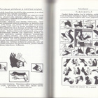 Antero Vipunen (Yrjö Karilas. sid. 8p. Wsoy 1984) - pikkukuva 5