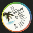 BUCKWHEAT ZYDECO::WHY DOES LOVE GOT TO BE SO SAD: VINYYLY 7" - pikkukuva 4