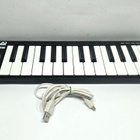 Akai LPK25 Performance Midi USB Keyboard - pikkukuva 1