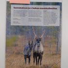 Metsästäjä 3 / 2014 - pikkukuva 2