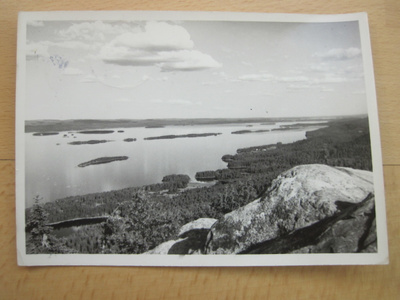 VANHA Postikortti Koli Yläkoli Rivileima 1955