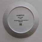 Arabia Hubertus Fasaani - pikkukuva 2