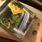 Orchestra Tom Salvador / colours of guitars CD - pikkukuva 1