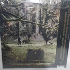WOLVES IN THE THRONE ROOM - CELESTIAL LINEAGE - M/M- 2 LP - pikkukuva 2