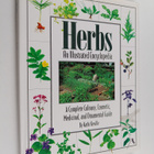 Kathi Keville : Herbs : an illustrated encyclopedia : a c... - pikkukuva 1