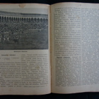 Hanna  Favorin:  Maantiede  N.o 2, 1919 - pikkukuva 3