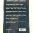 Kai Laitinen : Aino Kallas 1897-1921 : tutkimus hänen tuo... - pikkukuva 2