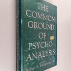 Robert S. Wallerstein : The Common Ground of Psychoanalysis - pikkukuva 1