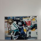 1994-95 Pinnacle - Goaltending Greats #GT15 Daren Puppa - pikkukuva 1