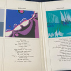 Software: Syn-Code + 38 s. kirja LP 1987 - pikkukuva 3