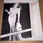 SCANDECOR CALENDARS 1991 STAR OF THE PAST - pikkukuva 2