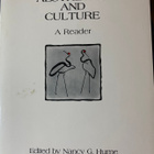 Japanese Aesthetics and Culture - pikkukuva 1