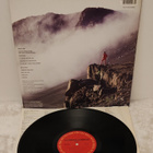 Clarence Clemons Hero lp - pikkukuva 2