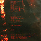 Nicole 120 minuuttia & Tasavalta & X musiikki-DVD julkaisut - pikkukuva 2