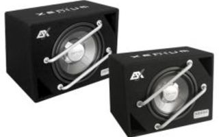 ESX Xenium XE 250  10'' Subwoofer Refleksikotelossa