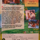 Karhuveljeni Koda 2 - dvd - pikkukuva 2