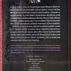Stephen King: Susannan laulu (2006)  1p. TAMMI - pikkukuva 2