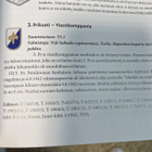 Asevelimerkki  3.Prikaati Viestikomppania - pikkukuva 3