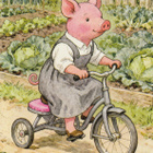 Possu pyöräilee kasvimaalla - pikkukuva 1