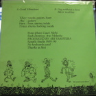 SKIN & BONES - SKIN & BONES M-/M- 12" SINGLE - pikkukuva 2