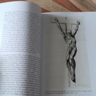 Human Anatomy - Depicting the body from the renaissance to.. - pikkukuva 4