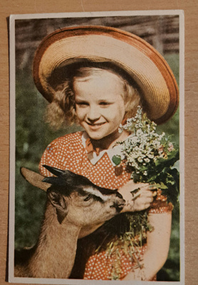 kuvakortti, tyttö ja vuohipukki, kulkenut 1957