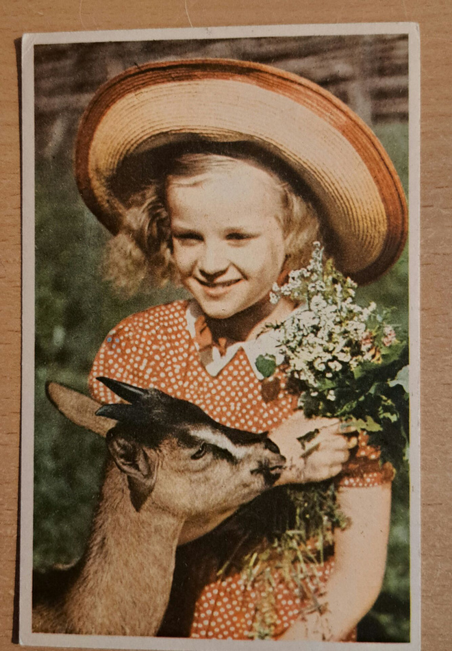 kuvakortti, tyttö ja vuohipukki, kulkenut 1957
