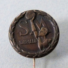 SM Koripallo - neulamerkki - pikkukuva 1