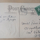 Kanoja ja vasta munittuja munia pesässä, p. 1911 - pikkukuva 2