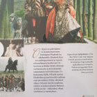 Orlando (1992) Digipak DVD UUSI - pikkukuva 2