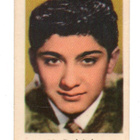 Purkkakuva n:o 85 PAUL ANKA Purukumikuva - pikkukuva 1
