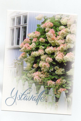 °°YSTÄVÄLLE°° -KORTTI / M. Roisko