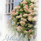 °°YSTÄVÄLLE°° -KORTTI / M. Roisko - pikkukuva 1