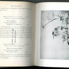 R. H. Blyth: Haiku Volume 3 Summer/Autumn - pikkukuva 2