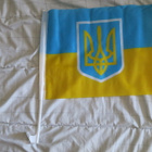 Ukrainan lippu - pikkukuva 1