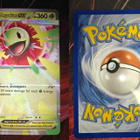 Pokémon Mega Meganium ex - pikkukuva 1