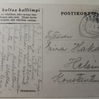 Heinänteossa - väkijoukko heinäpellolla (Tubi-pk), p. 1921 - pikkukuva 2