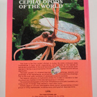 Kir Nazimovich Nesis ym. : Cephalopods of the World - Squ... - pikkukuva 2