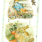 KIILTOKUVA °°PETER RABBIT°° /MLP1838 (Beatrix Potter) - pikkukuva 2