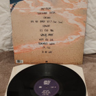 Wallows Nothing Happens lp - pikkukuva 2