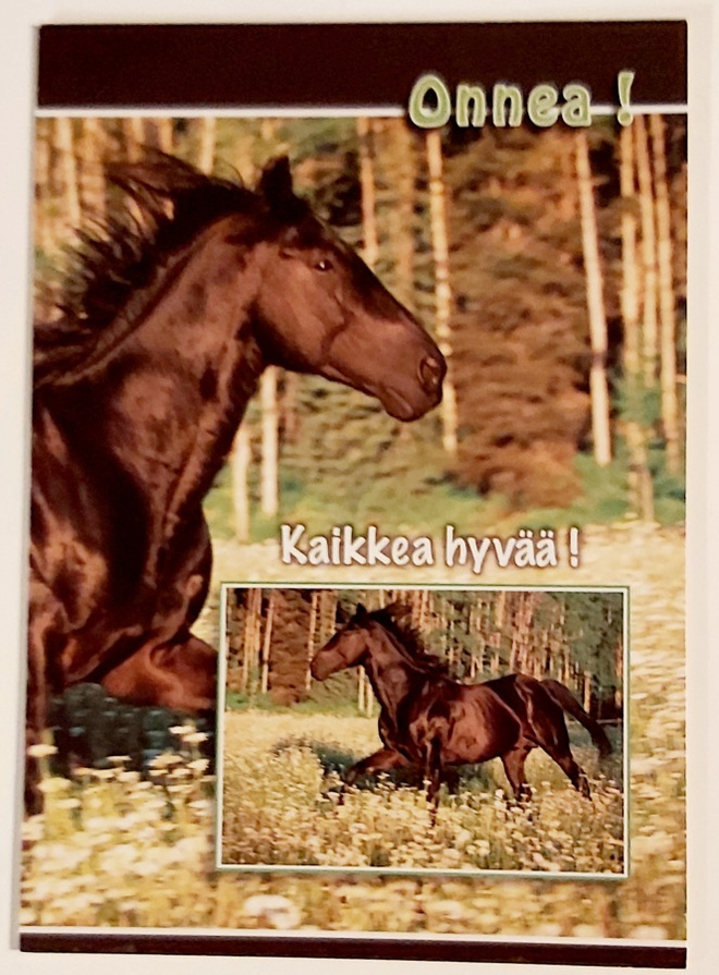 ONNEA!  KAIKKEA HYVÄÄ!-KULKEMATON POSTIKORTTI
