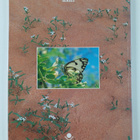 Marycke Jongbloed : The living desert - pikkukuva 2