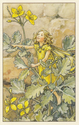 Cicely Mary Barker: Kukkakeijut keltamo